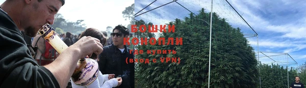 стаф Белоозёрский