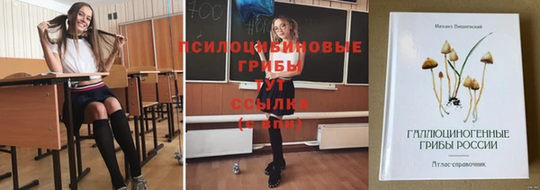 мефедрон Снежногорск