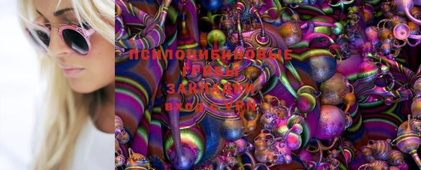 стаф Белоозёрский